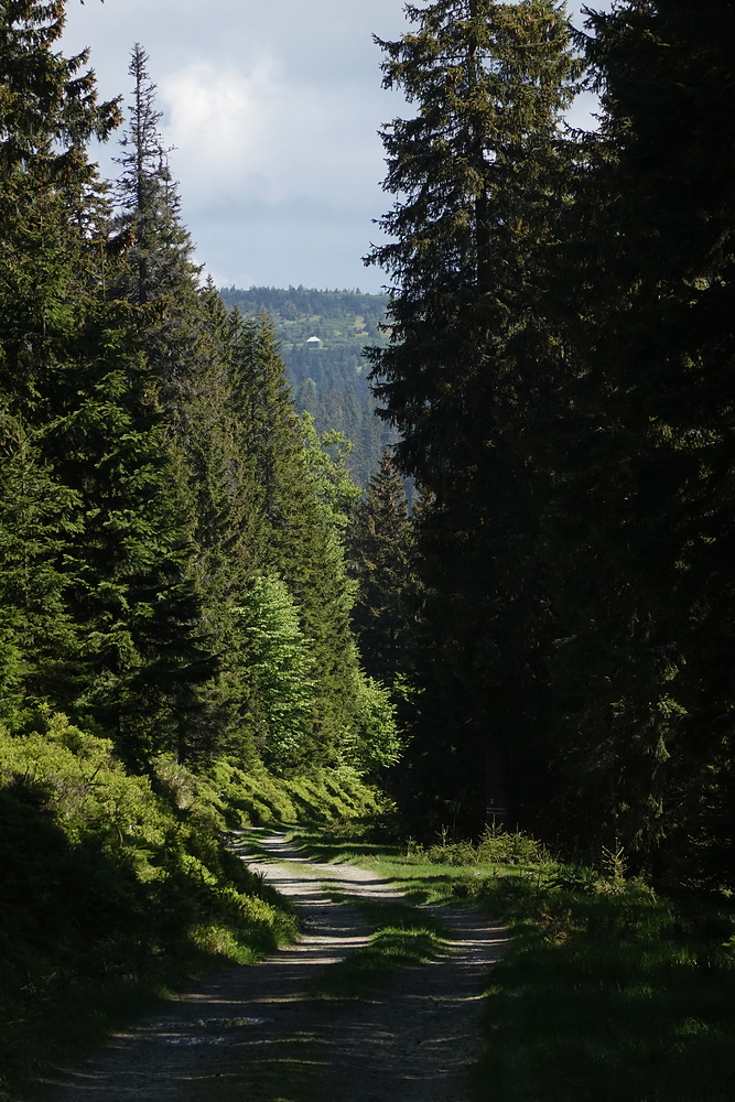Vzadu Jelení studánka