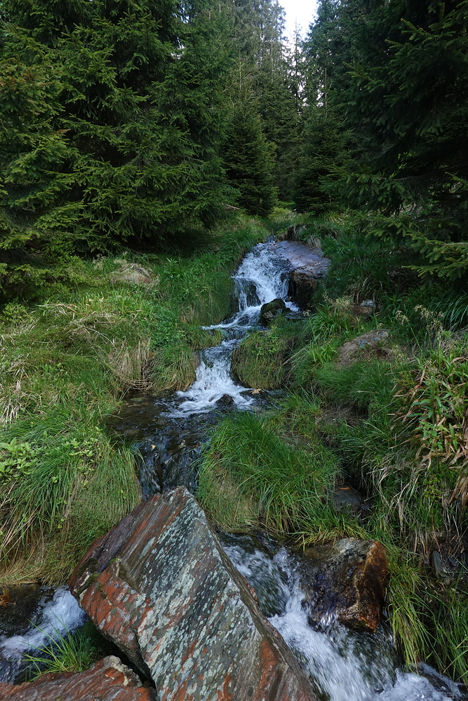 Vodu na pití beru přímo z potoků