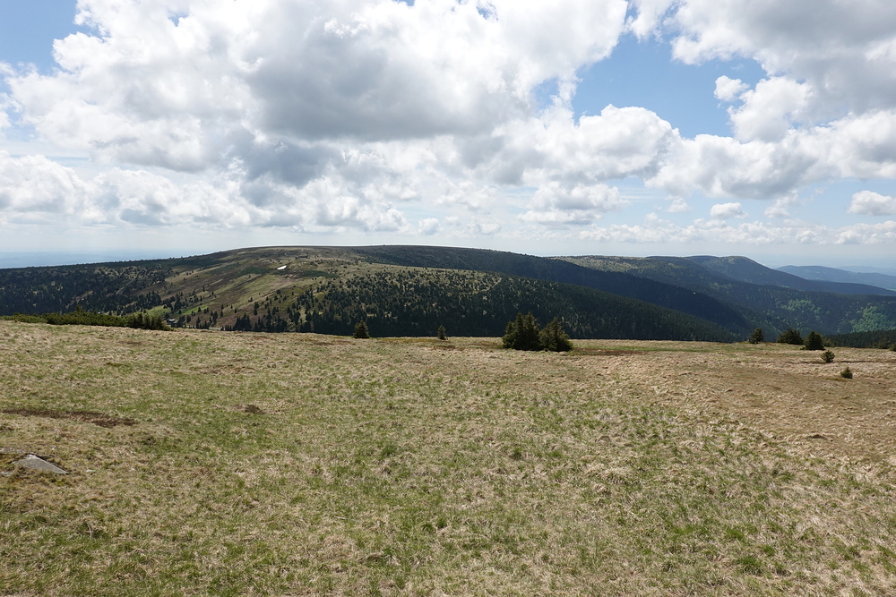 Hlavní hřeben z Praděda