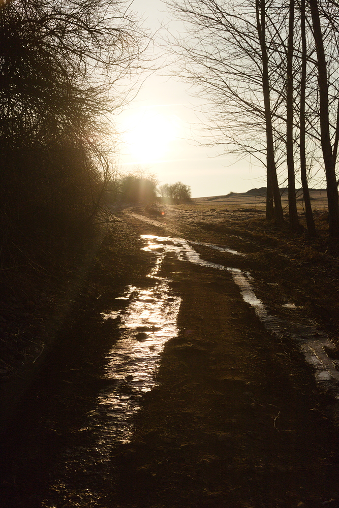 Led a první paprsky