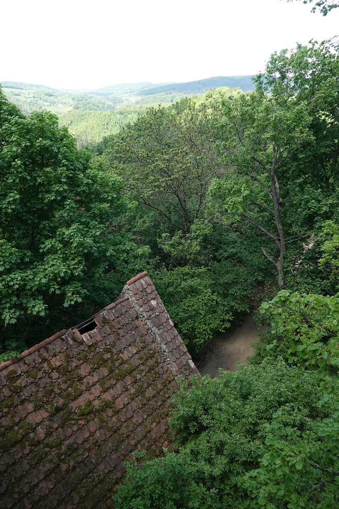 Výhled přes bránu