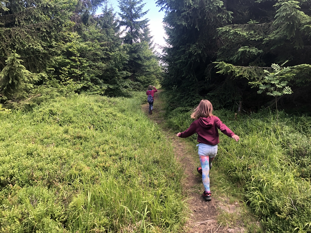 Pod vrcholem Bukové hory