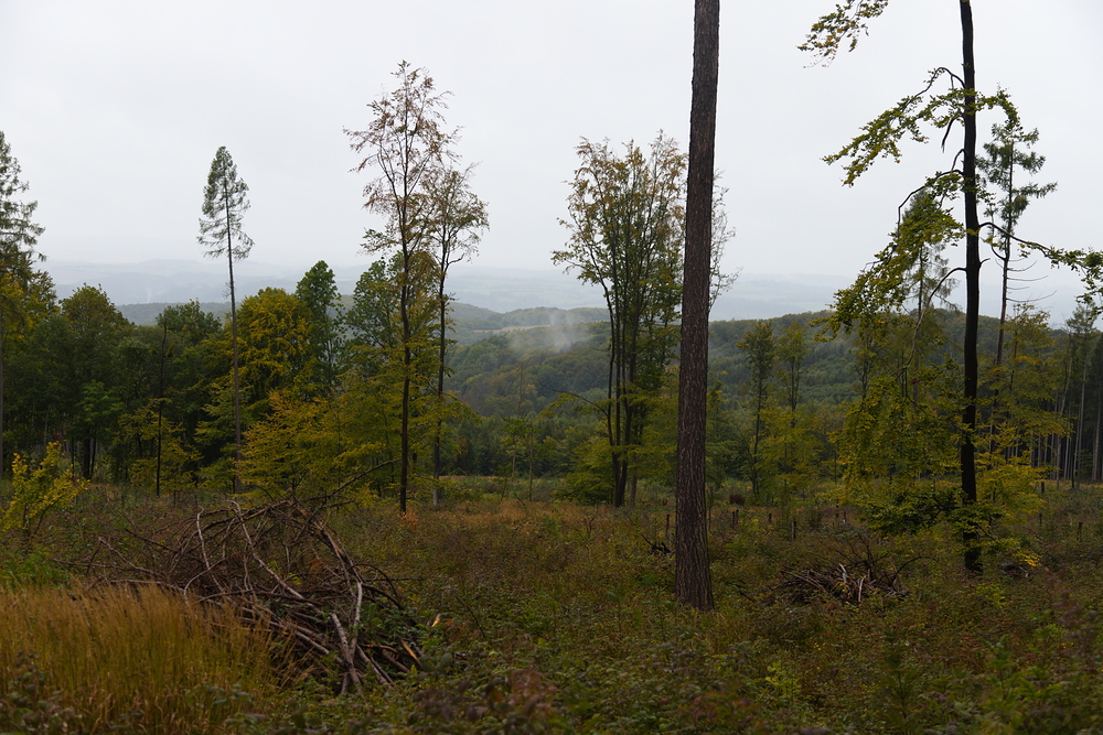 Všude kolem kopečky