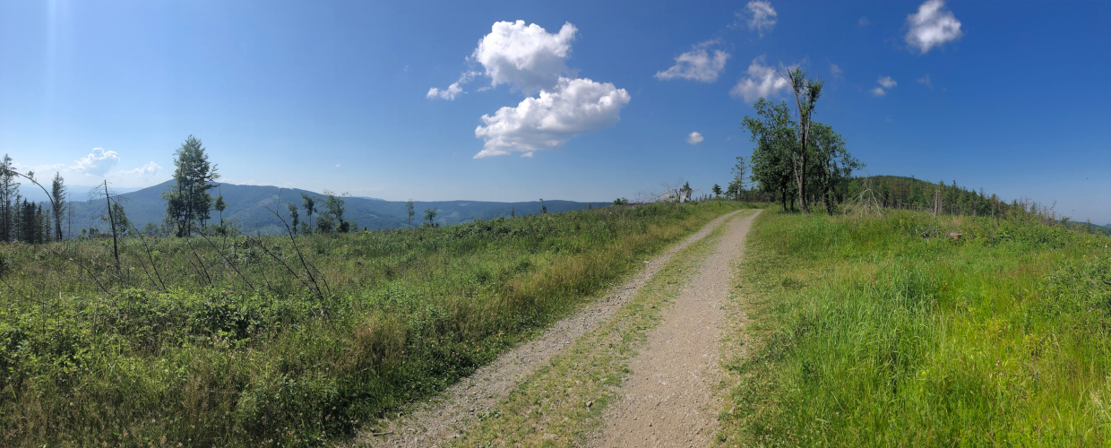 Pod Velkým Javorovým