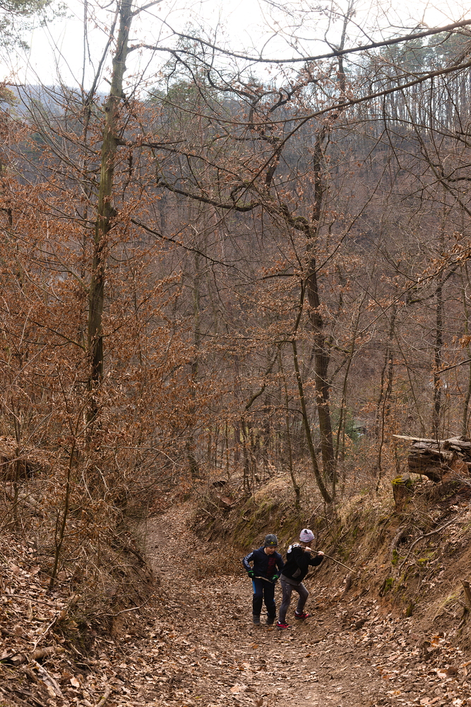 Stoupáme k rozhledně