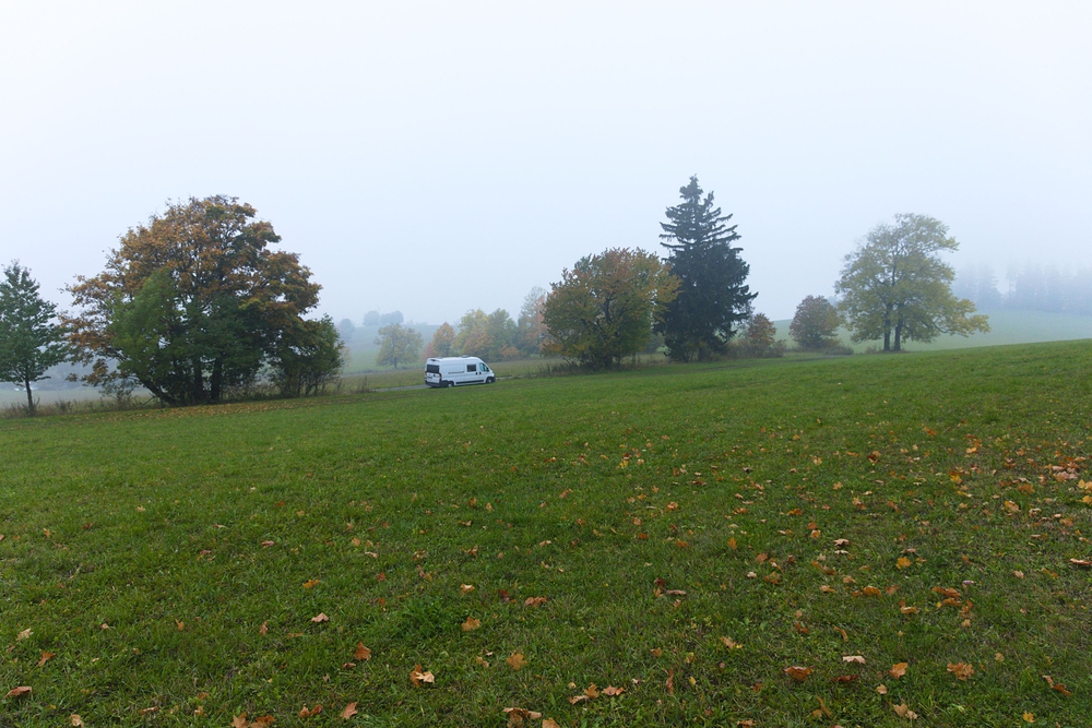 Oblíbené místo na spaní