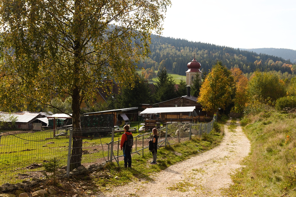 Novy Geraltow, za plotem byly lamy