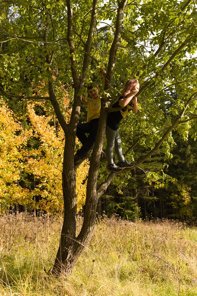 Mates před pádem (praskla větev)