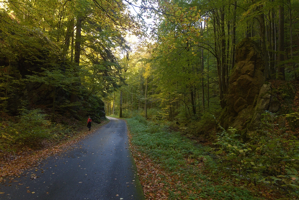 Skalní jehla v Račím údolí