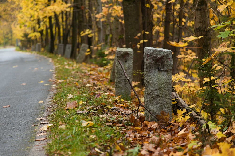 Z Gieraltowa do Bielice