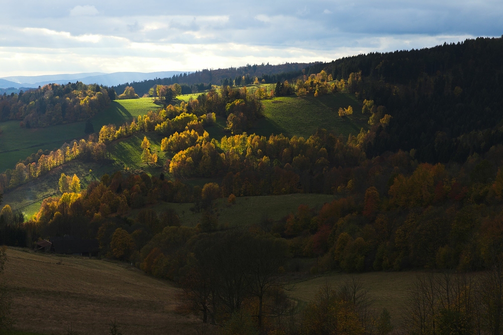 Ráno ze sedla Travná