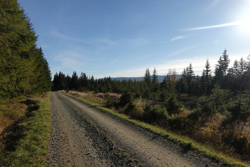 Na hřebenech Gor Bystrzyckich