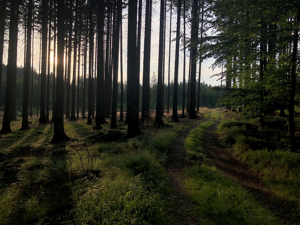 Užívám si na kole