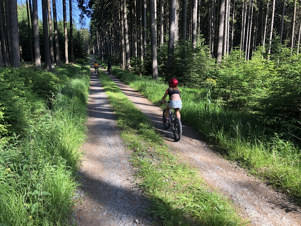 V lesích nad Čachnovem