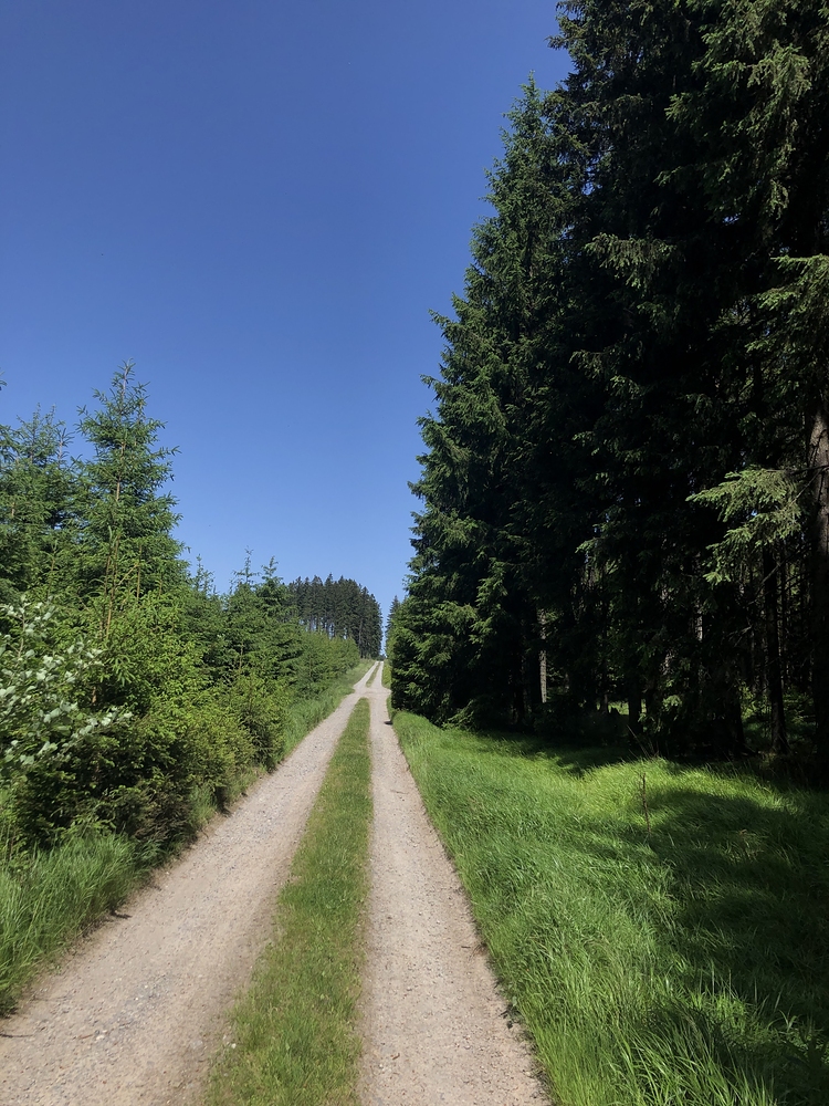 Kolem Mariánské huťi