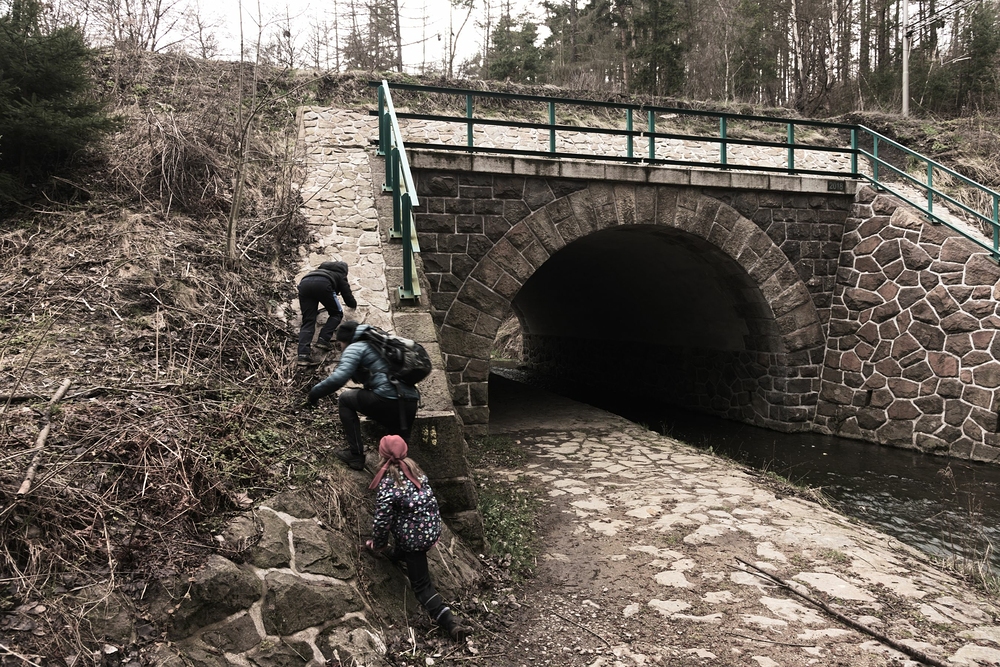 Po žlutých stopách