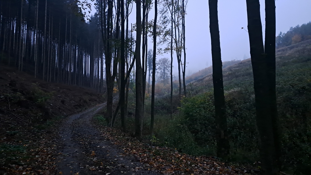 Stoupání z Věžné