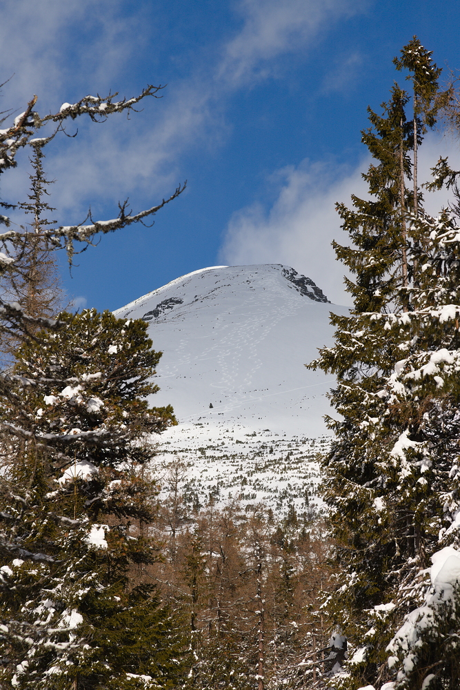 Polyžovaná Patria (tři tečky jsou skialpoši)