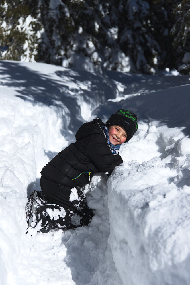 No není roztomilý?