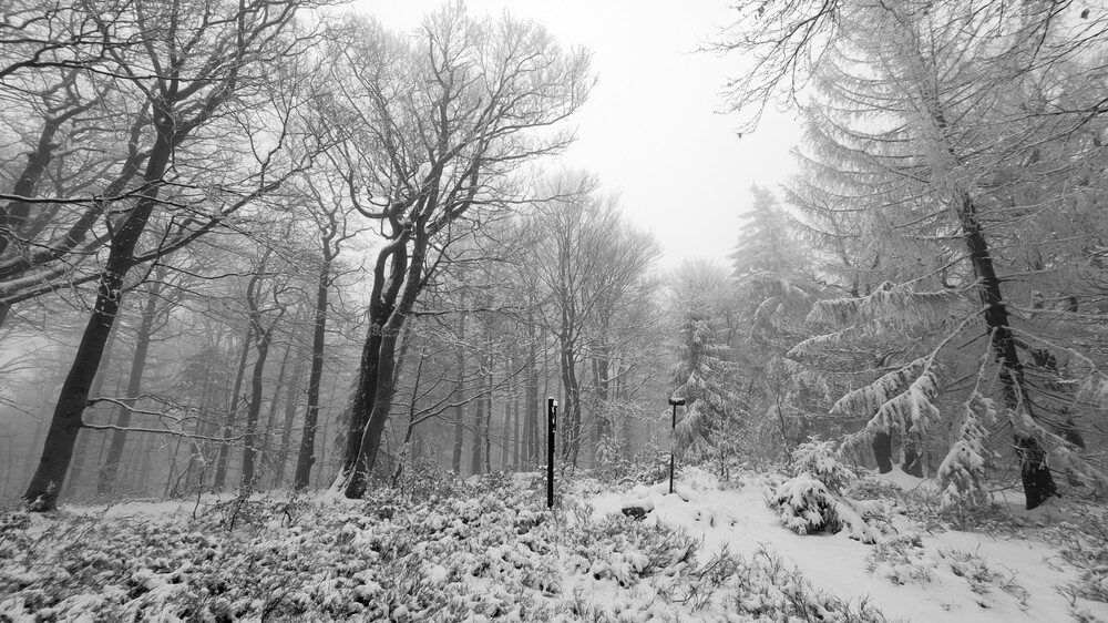 Ostrý, vrchol, 1044 m