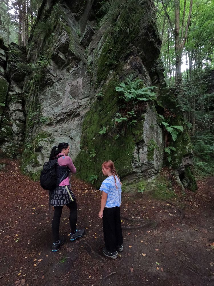 Pod Ptačí planinou