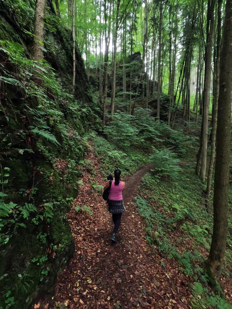 Pod Ptačí planinou