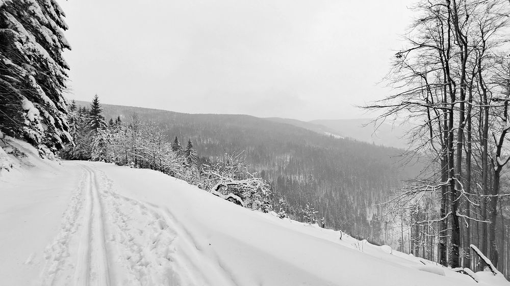 Z Ostrého na Javorový