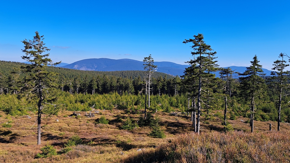 Výhled z Brousku na Šerák se nikdy neokouká