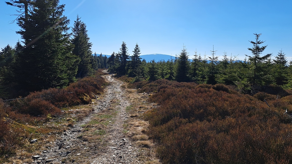 Na hřebeni nad Paprskem