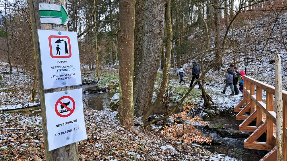 Nevstupujte do bledulišť