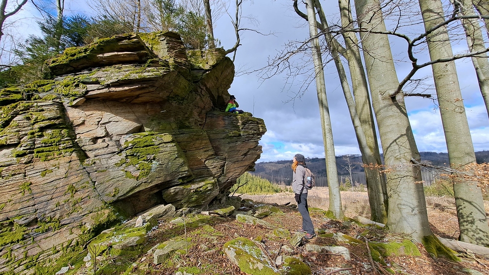 Další kotě v nebezpečí