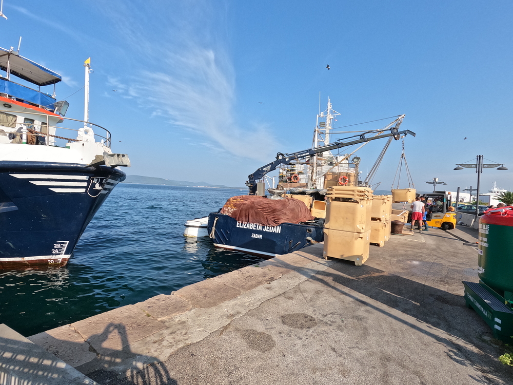 Ráno přivezli ryby