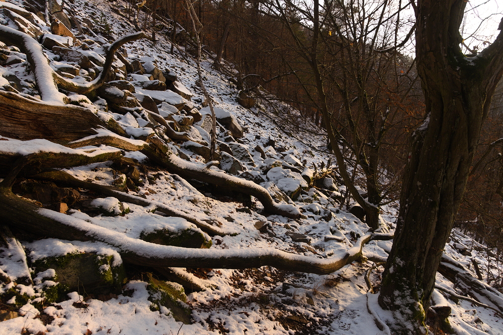 Červená značka vede tudy