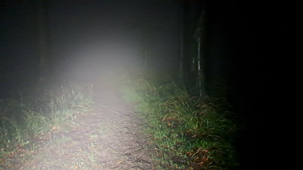 Hustou mlhou, temnou nocí