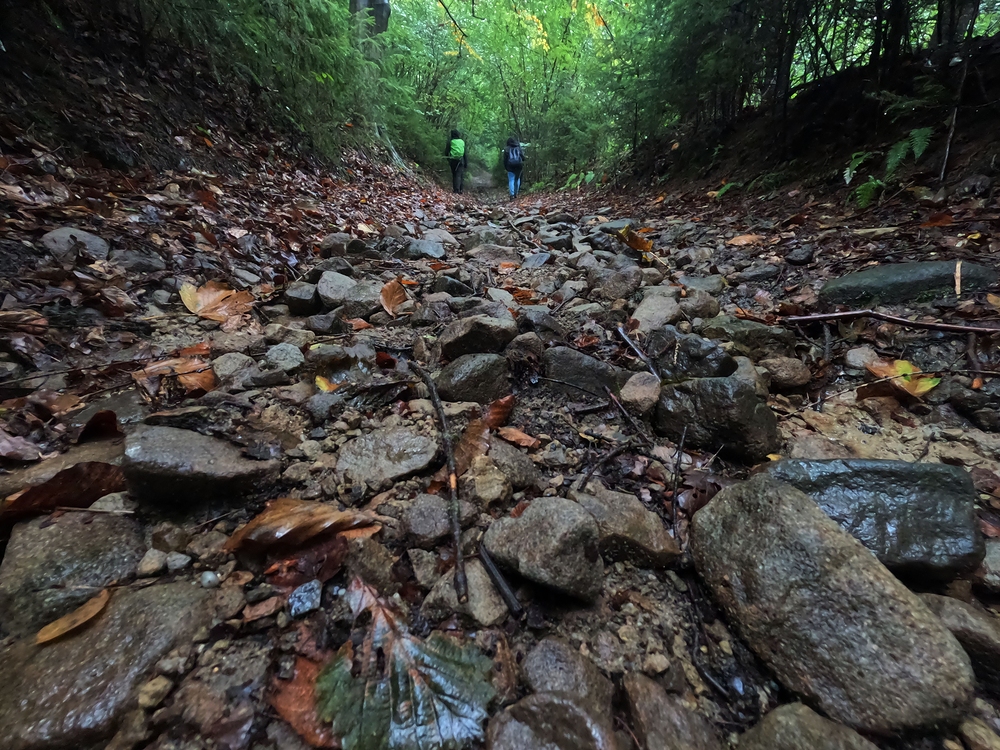 Neznačenou cestou nahoru