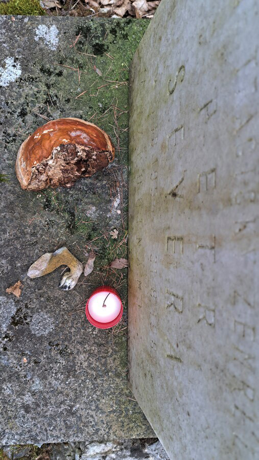 Tlapka jako talisman?