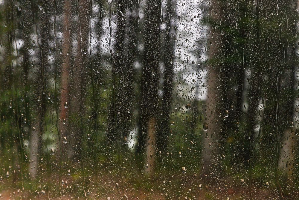 Poslední den prší