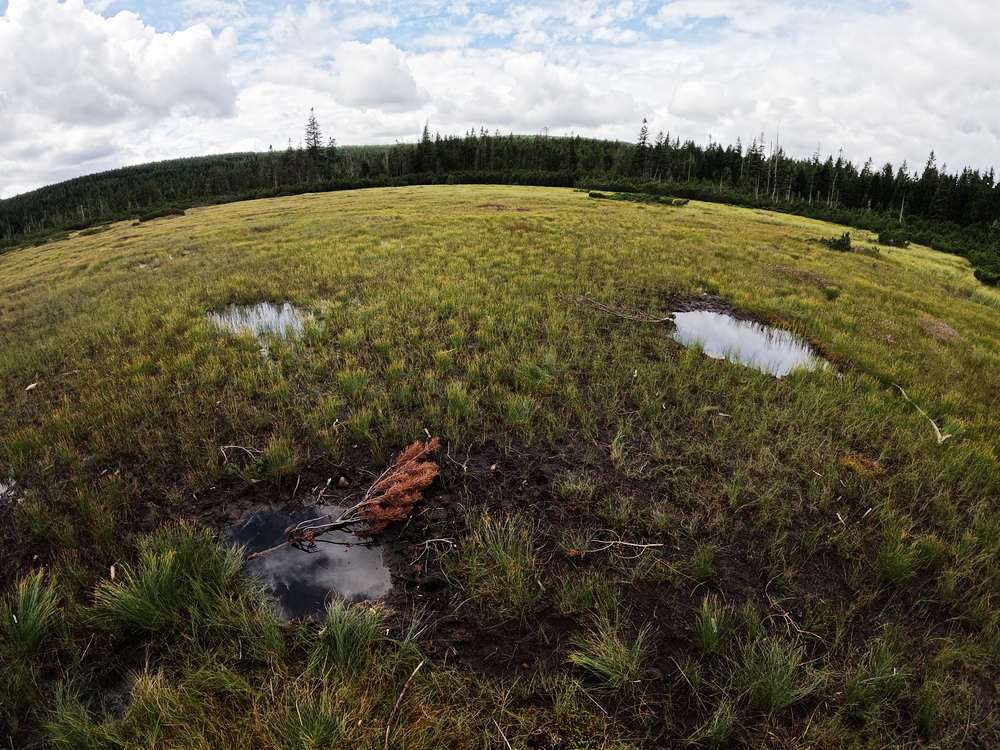 Rašeliniště Jizerky