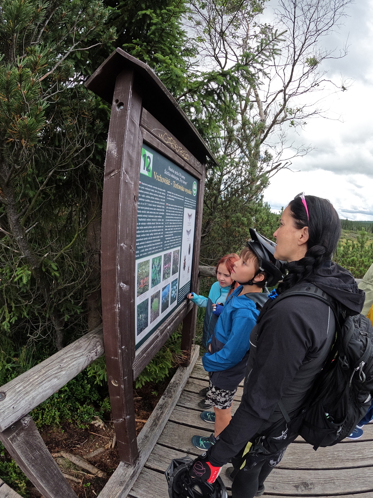 Rašeliniště Jizerky