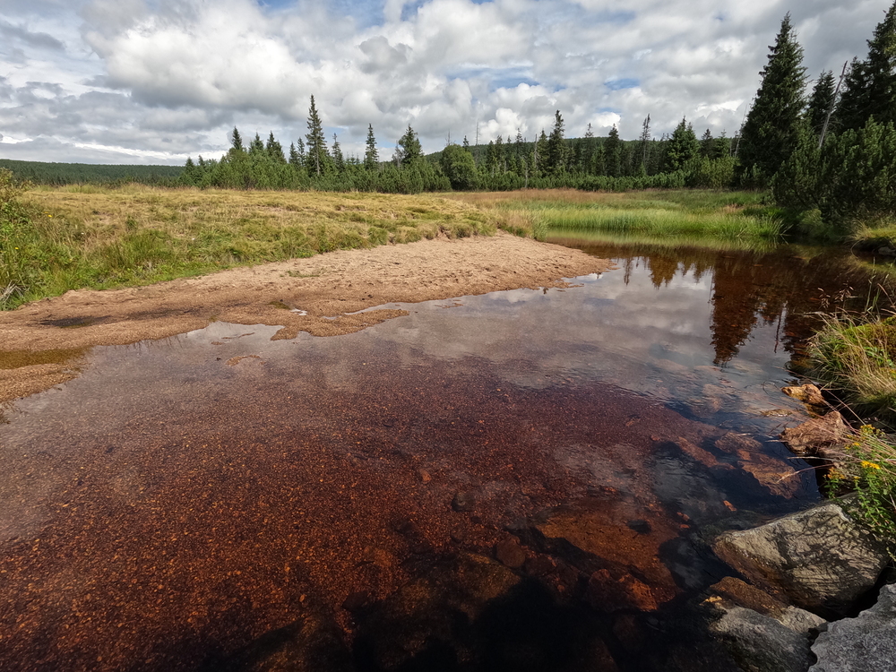 Rašeliniště Jizerky