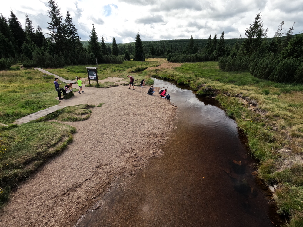 Rašeliniště Jizerky