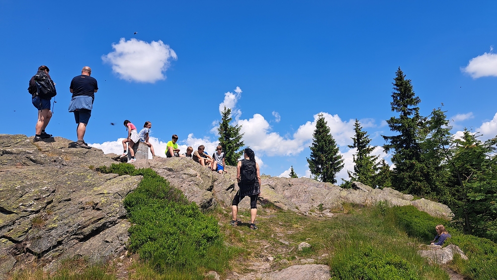 Bradlo cestou na Boudu