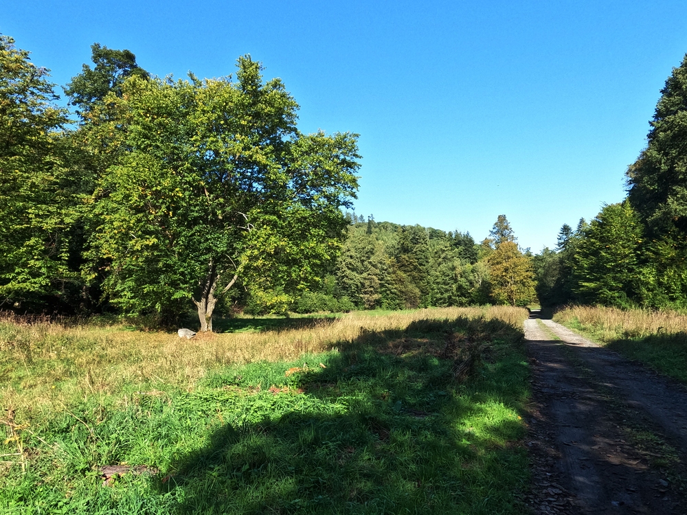 Údolí Něčínského potoka