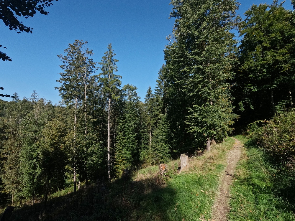 Podél Odry k Hadince