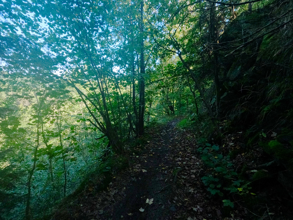 Podél Odry k Hadince