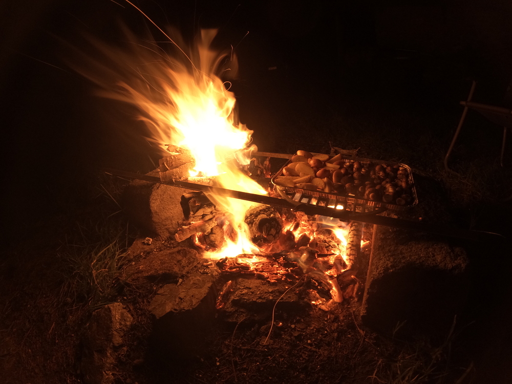 Brambory, žampiony, hermelín