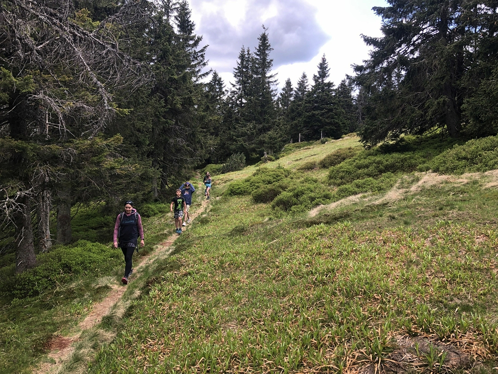 Tajný lovecký chodník