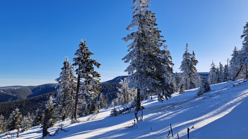 Vzadu Dlouhé stráně