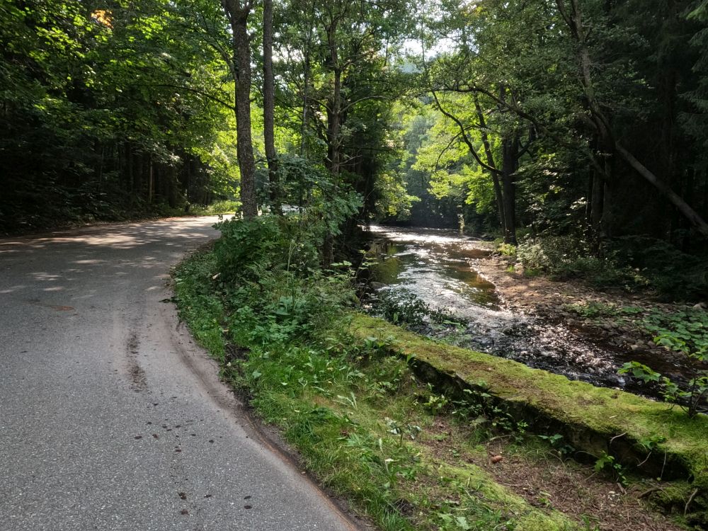 Podél Divoké Orlice