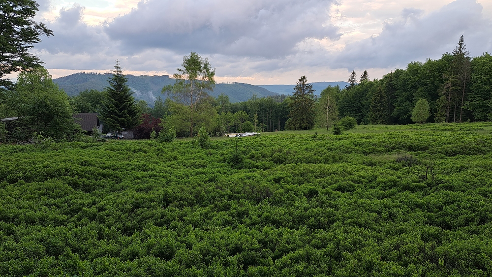 Vzadu Kozubová a hraniční hřeben